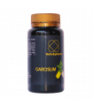 GARCISLIM