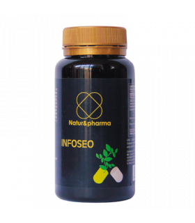 infoseo