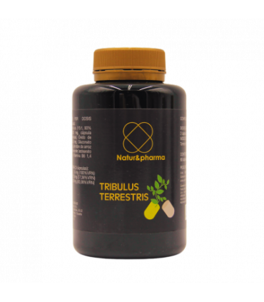 tribulus-terrestris
