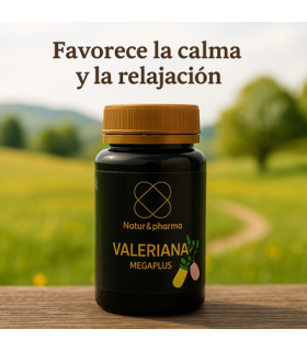 valeriana-4