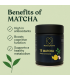 Revitaliza tu Vida con Té Matcha Ceremonial - Antioxidantes y Sabor Exquisito