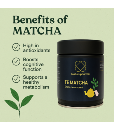 Revitaliza tu Vida con Té Matcha Ceremonial - Antioxidantes y Sabor Exquisito