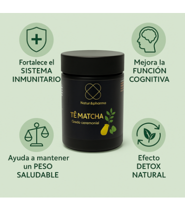 Revitaliza tu Vida con Té Matcha Ceremonial - Antioxidantes y Sabor Exquisito