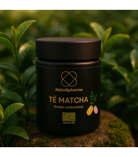 matcha-5