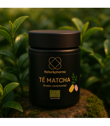 matcha-5