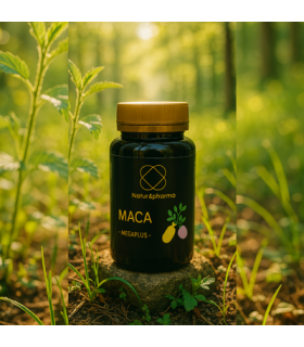 maca-6