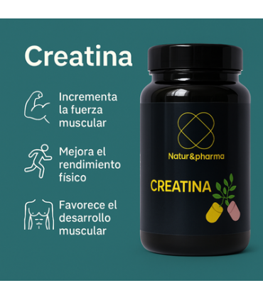 Creatina - Gana Masa Muscular y aumenta tu Rendimiento Deportivo