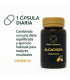 Alcachofa - Suplemento Natural para Digestión y Detox | Compra Online