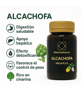 alcachofa-5