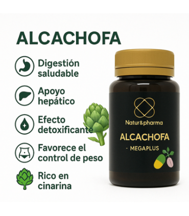 alcachofa-5