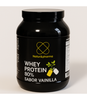 whey-protein-v