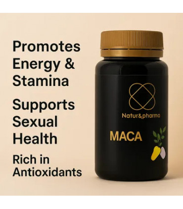 MACA3