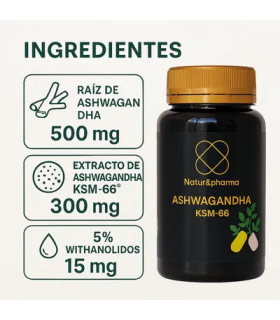 ASHWAGANDHA KSM-66 60 CAPS