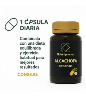 ALCACHOFA