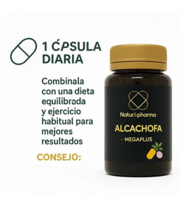 ALCACHOFA