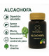 ALCACHOFA1