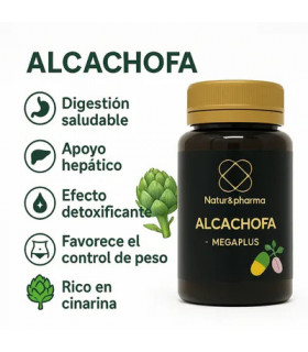 ALCACHOFA1
